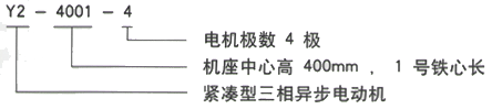 西安泰富西瑪Y2系列(H355-560)6KV緊湊型高壓異步電機(jī)西安西瑪電機(jī)型號(hào)說明 西安泰富西瑪Y2系列(H355-560)6KV緊湊型高壓異步電機(jī)西安西瑪電機(jī)型號(hào)說明
